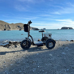 RMB Electric Trike - Multi-Point AWD Kodiak II